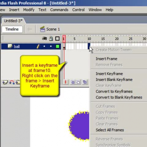Flash 8 Basic  - Using Keyframes