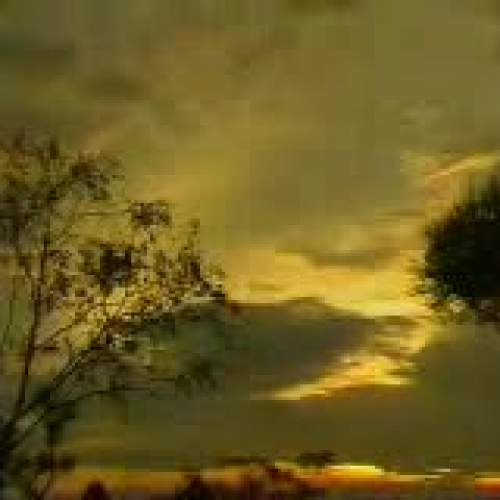 Rainwater harvesting 