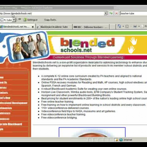 BSN How To View Courses