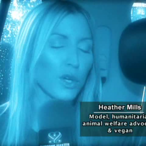 You are watching Supreme Master TV