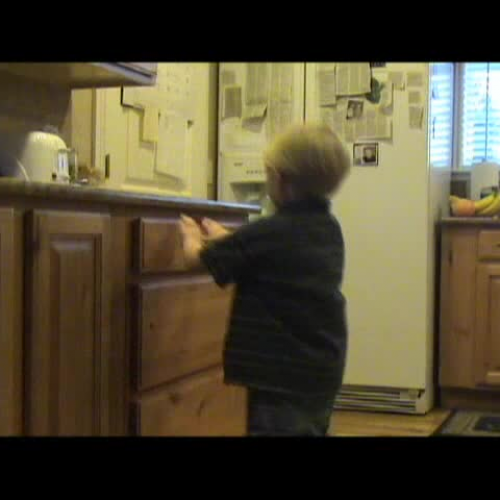 The Life of a Prankser