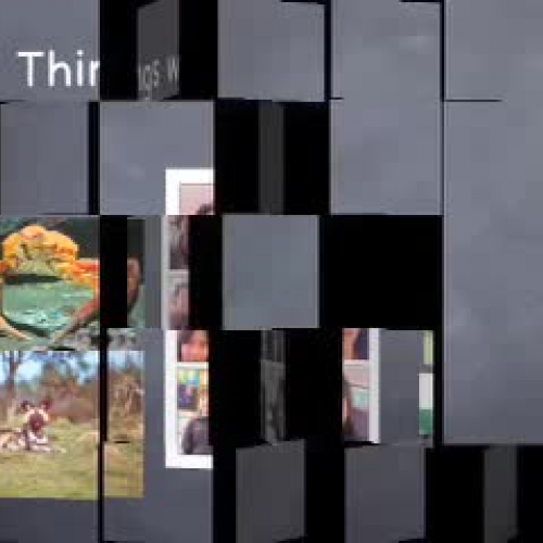 Animal Inquiry Slideshow