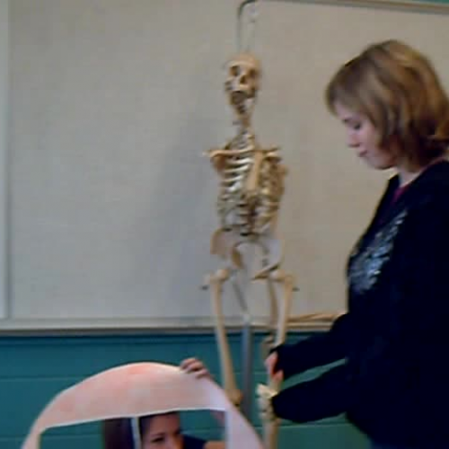 Math in the Real World Police