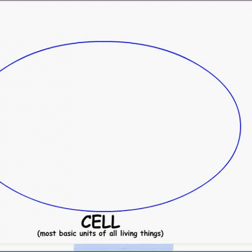 cell structures overview 1