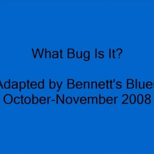Bennetts Blues What Bug Is It