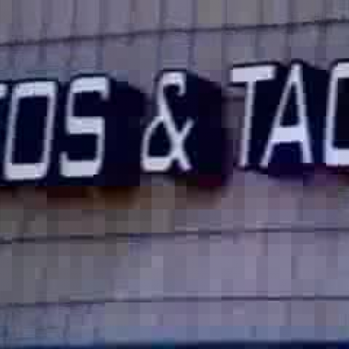 Business Snapshot on Chipotle