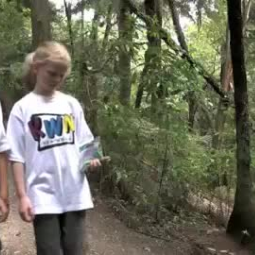 Ecology Detective Case of the Missing Kereru