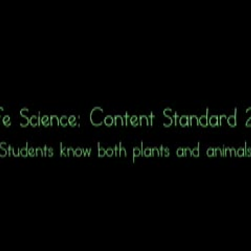 How Plants and Animals Grow