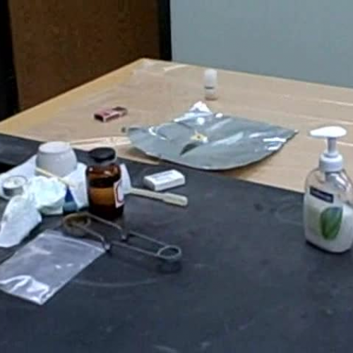 Mystery Scientist at The School for Science a