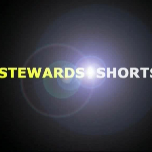 Stewards School Cultural food event 2008