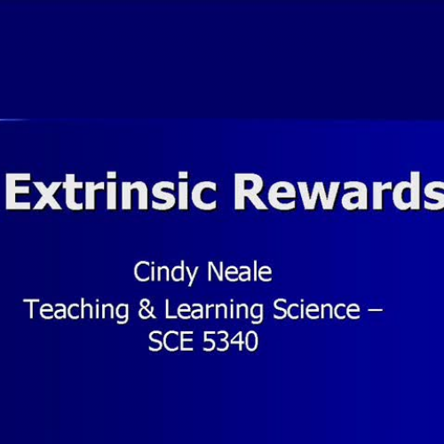 Extrinsic Rewards