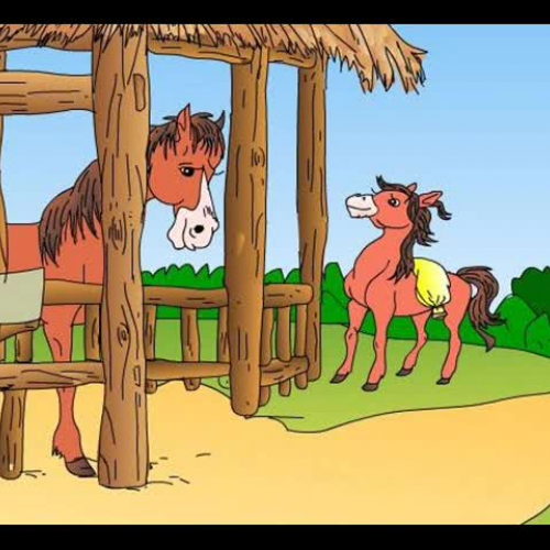 A Little Horse Crosses the River