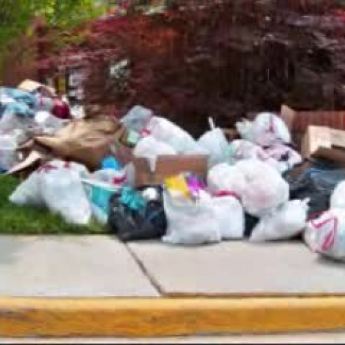 It is Time to Compost