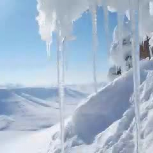 Jan Tomsens Philosophy of Education