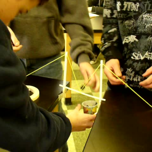 Suspension Bridge Lab