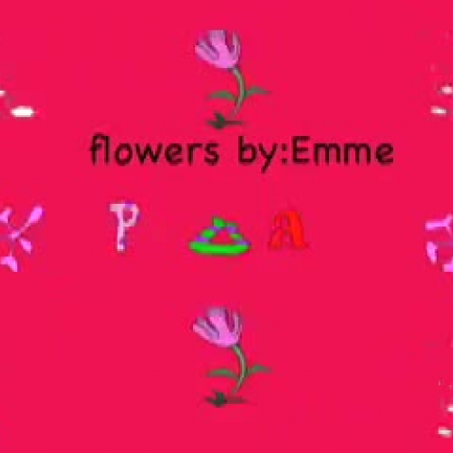 Plants by Emme