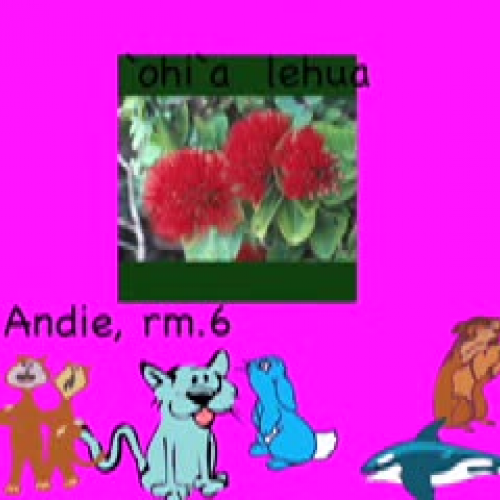 Plants by Andie