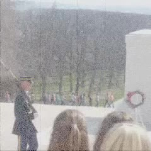 Technology Ambassador Recruit