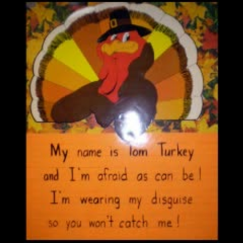 Turkeys  in Disguise