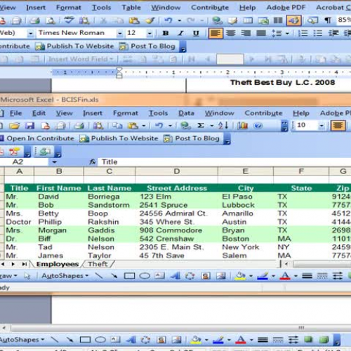 BCIS 1b Final Review
