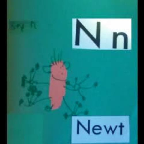 Animal ABCs  Part 3  M-T