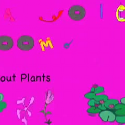 Plants by Jolei