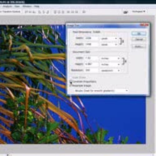 Photoshop CS3 how to resize an image