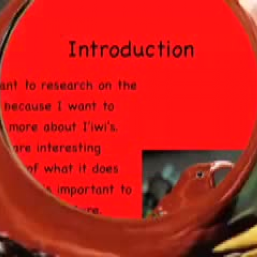 Iiwi Bird by Brandee