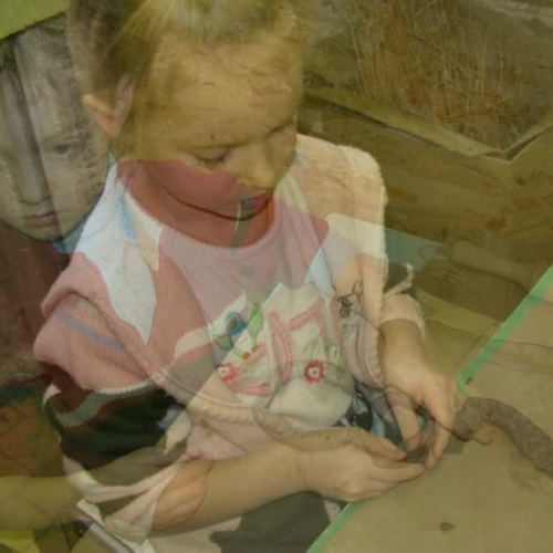 Numbers from the clay