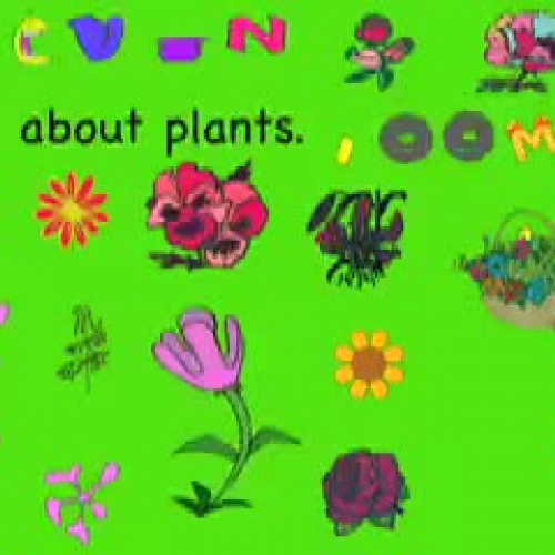 Plants by Devin