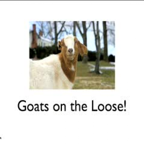 Goats on the Loose