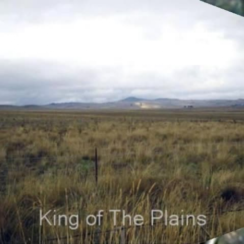 The Emu and the Lizard