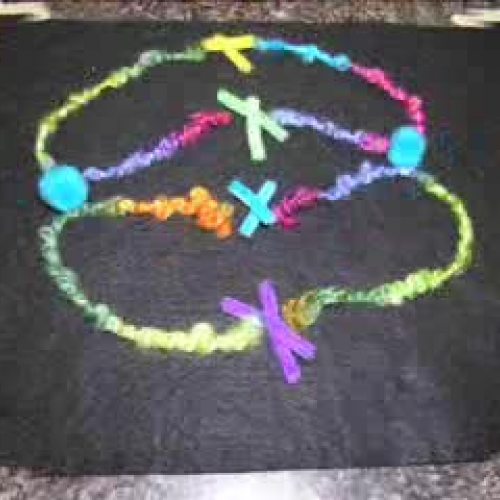 Mitosis video by Haylee and Morgan