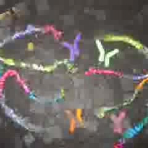 Matt and Daniel Mitosis