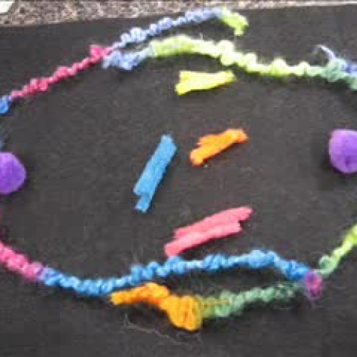 mitosis  by. sam and pat