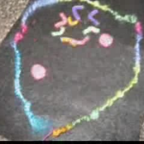 Wyatt and Kalebs Mitosis video