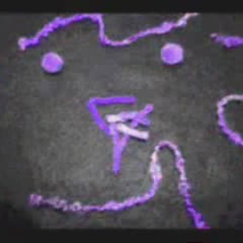 IPMATC by Sam and Jacy