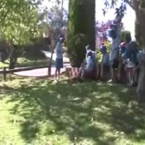 Billy Cart Champions