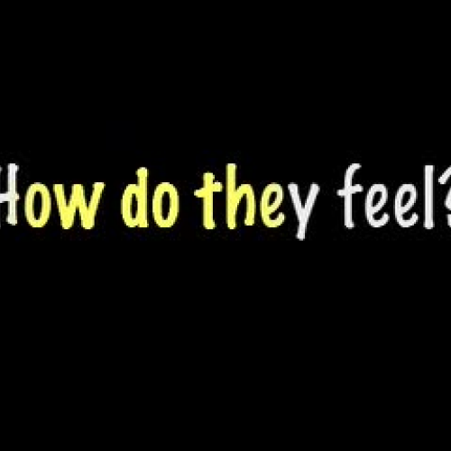 Feelings by Primary Teachers