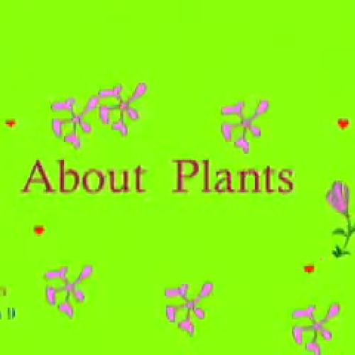 Plants by Anela