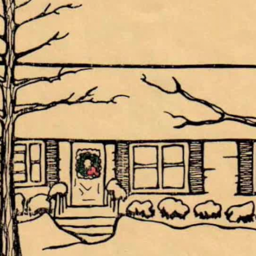 Codys quest to life.