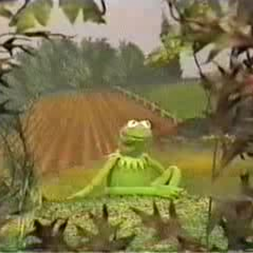 Kermit - Its Not Easy Being Green