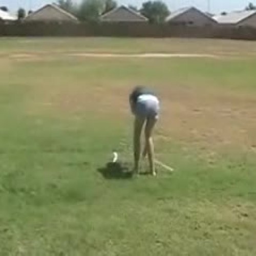 Paper Airplane Lab - HR 2