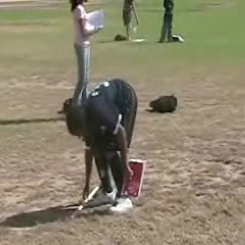 Paper Airplane Lab - HR4