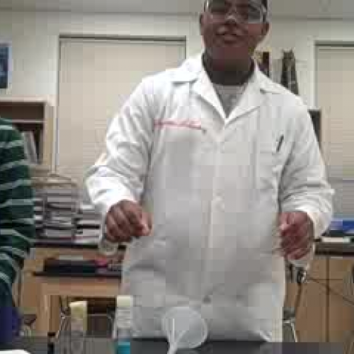 Anesthetizing Flies 1