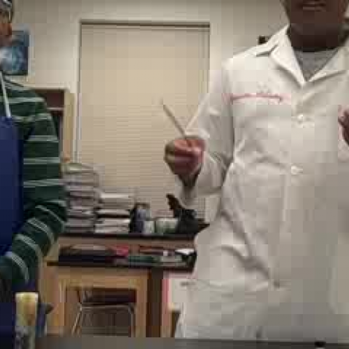 Anesthetizing Flies 2