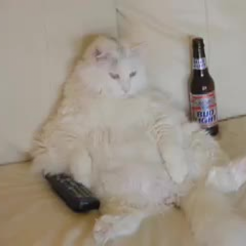 Dallas Strohls Oceanography Project