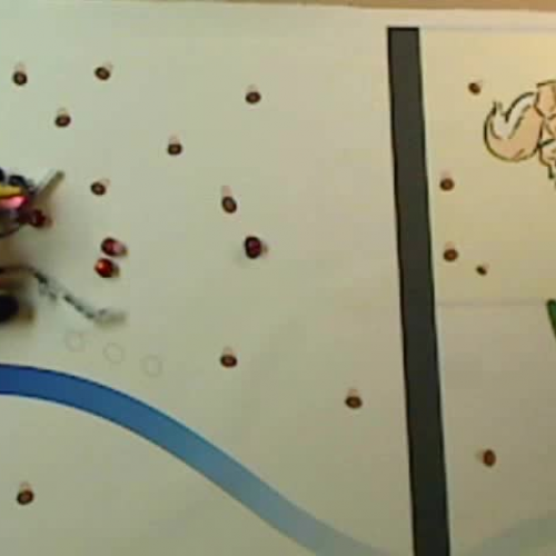 Acornia Nut Collector