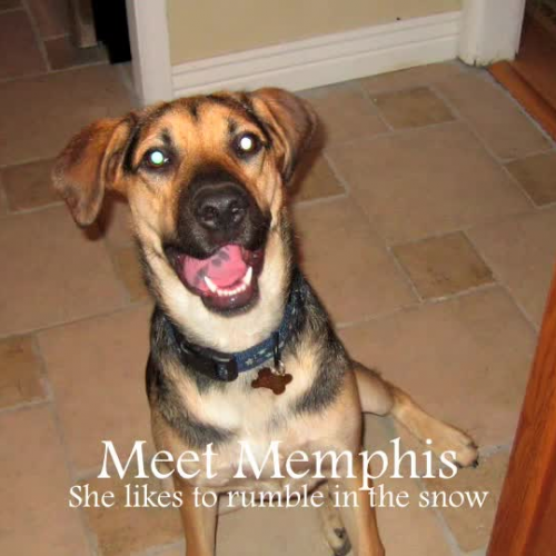 How to play in the snow...