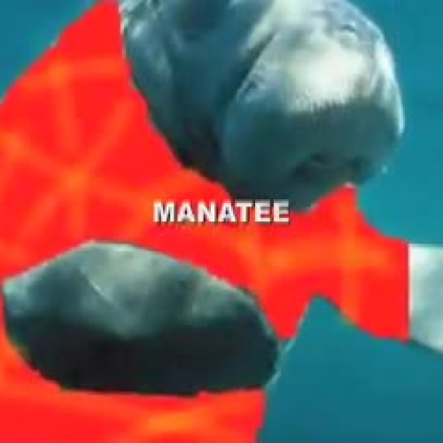 Manabelly Lawn Service